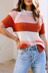 Brown Crochet Knit Colorblock Stripe Short Sleeve Top