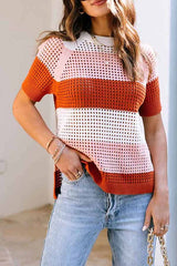 Brown Crochet Knit Colorblock Stripe Short Sleeve Top